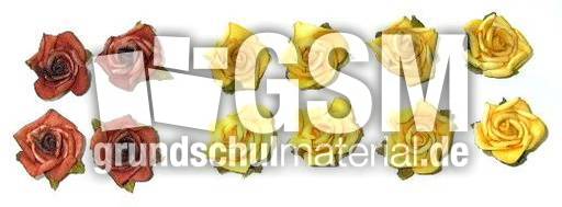 Blumen4+8.jpg